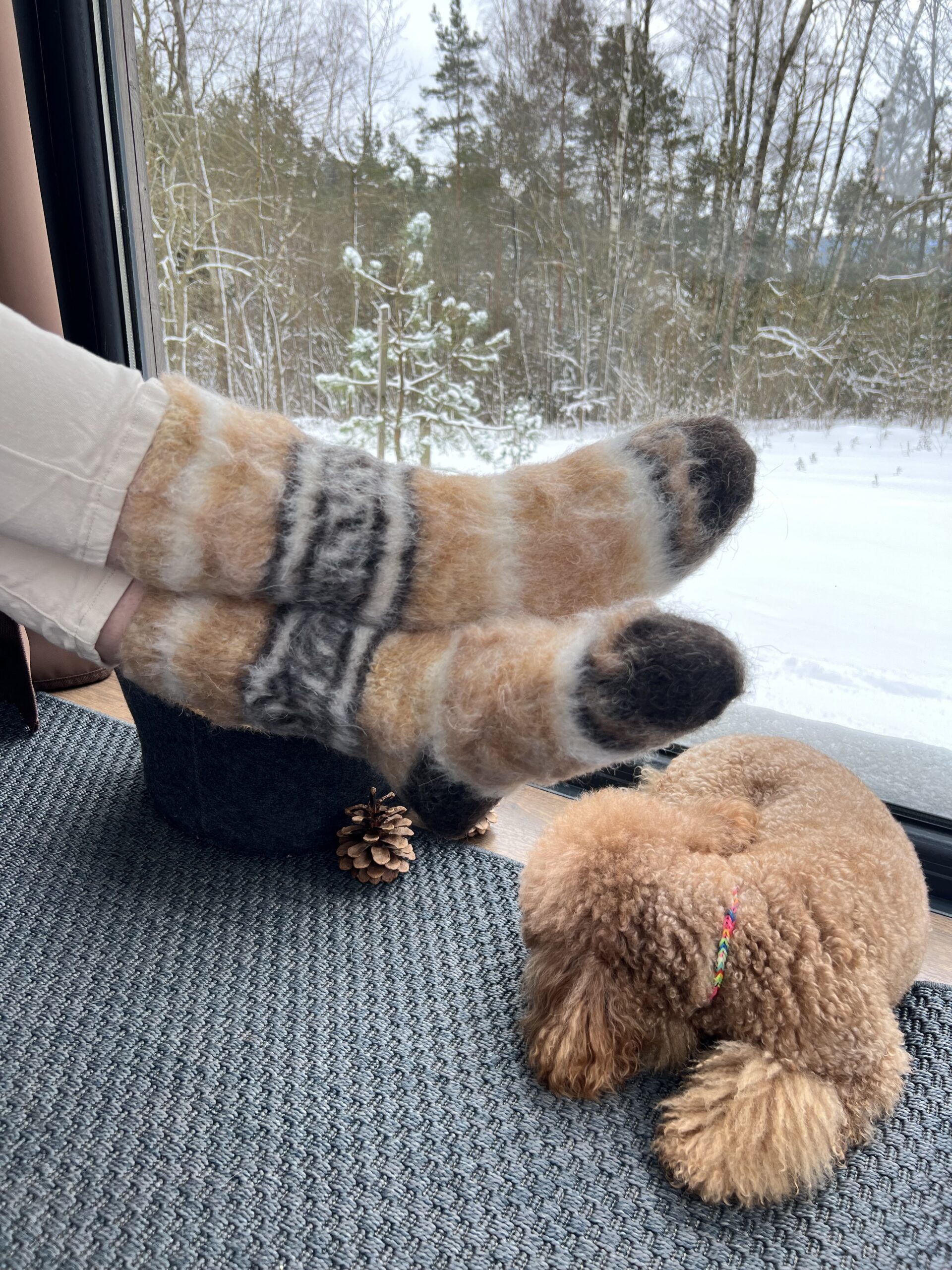 Luonnolliset 100% koiranvillaiset keltaiset sukat