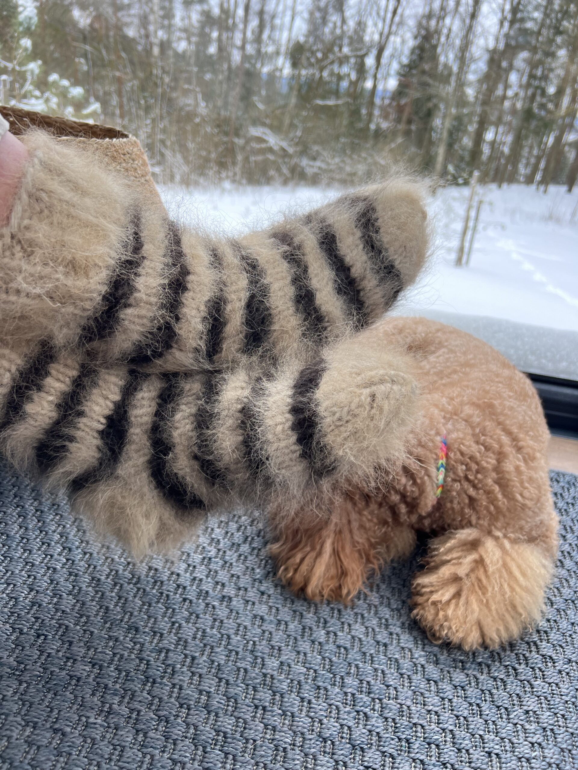Luonnolliset 100% siperianhusky koiran villasta valmistetut raidalliset sukat.