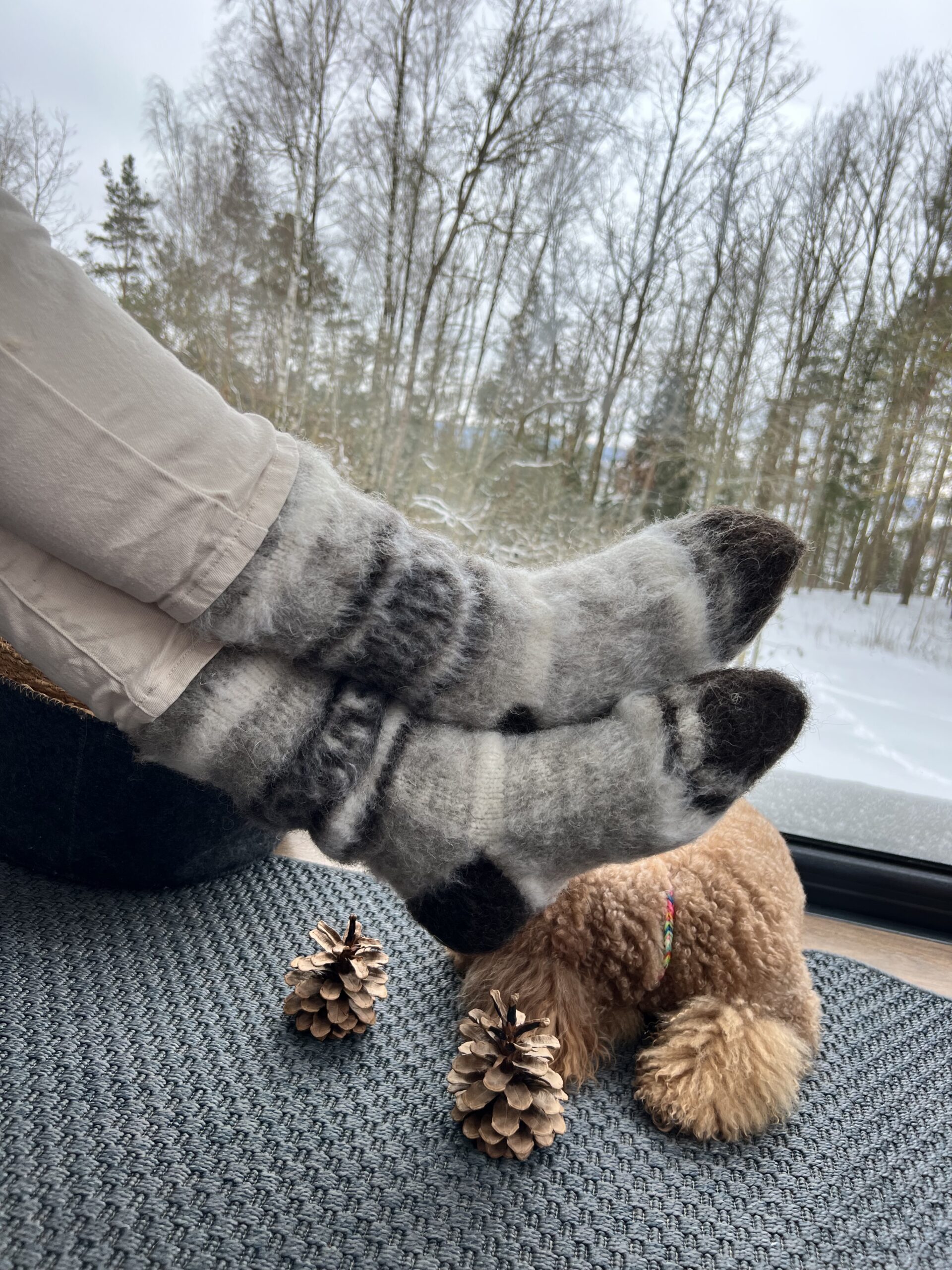 Luonnolliset 100% lämpimät koiran villasukat