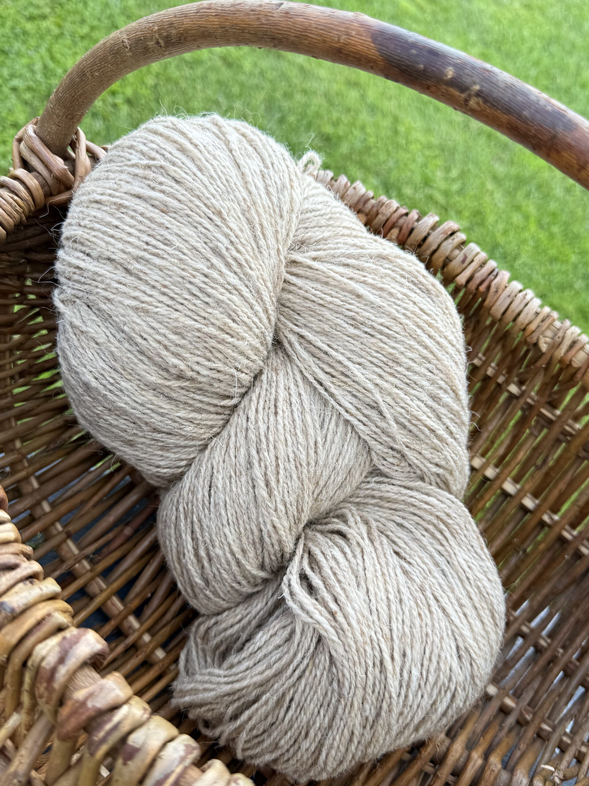 50 % koiran ja 50 % lampaan villalanka 1 kg – VALEANKELTAINEN