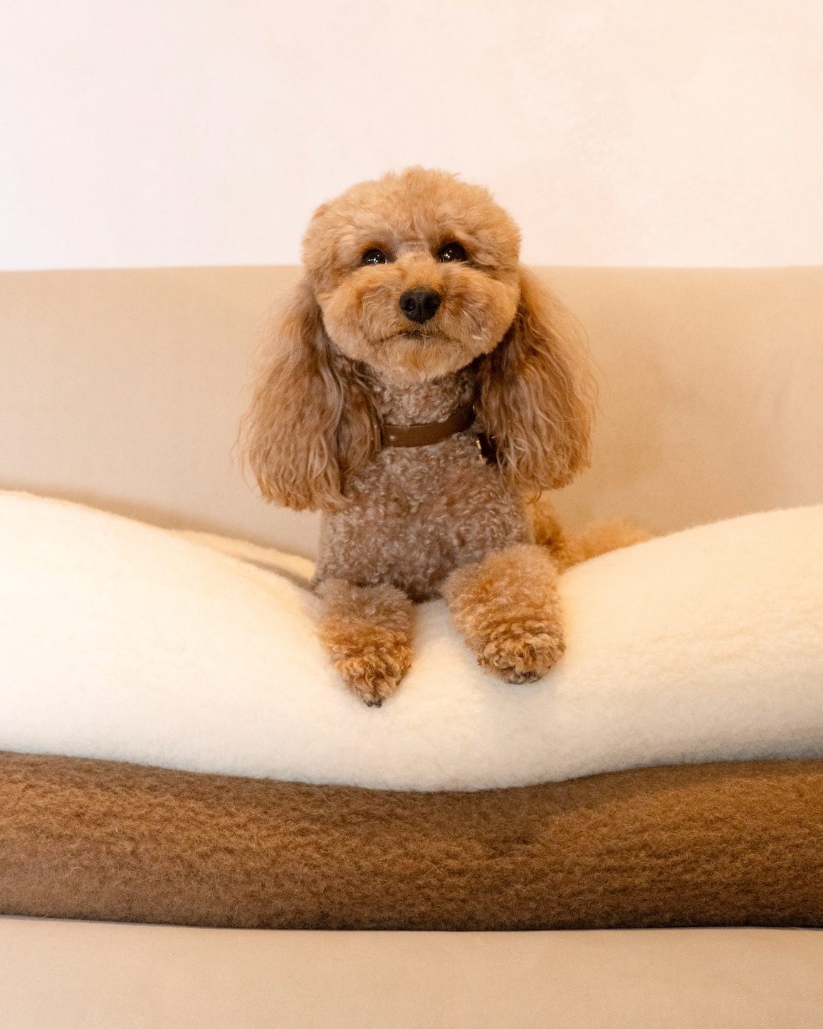 100% merinovillainen kevyt peitto-pledi, WoolLando