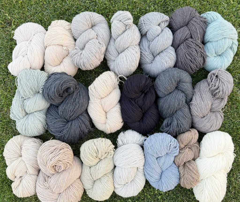 Luonnonväriset lampaanvillalangat 10 kg setti, WoolLando