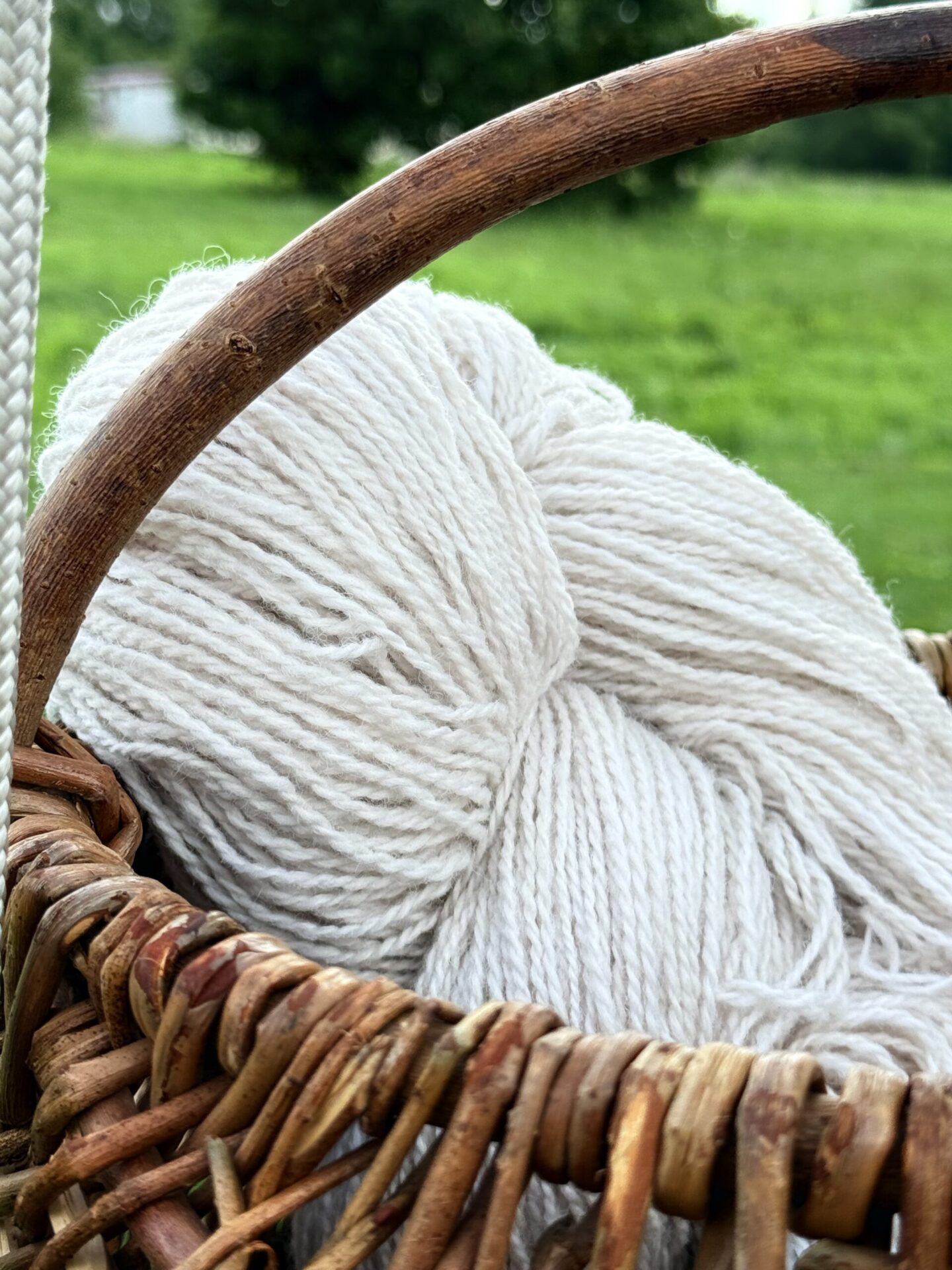 Uuden-Seelannin lampaanvillalanka 1 kg – CREAM, WoolLando