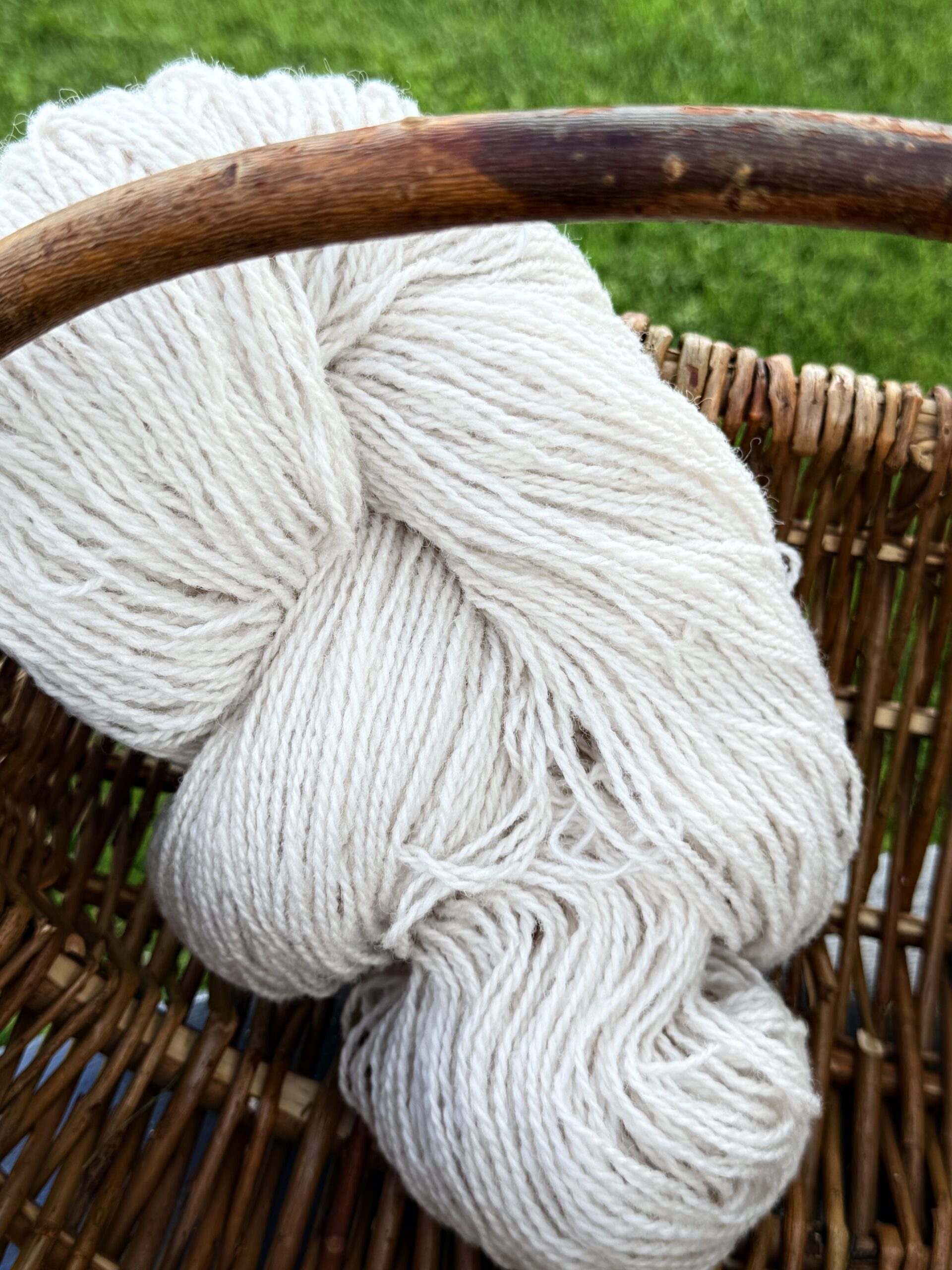 Uuden-Seelannin lampaanvillalanka 1 kg – CREAM, WoolLando
