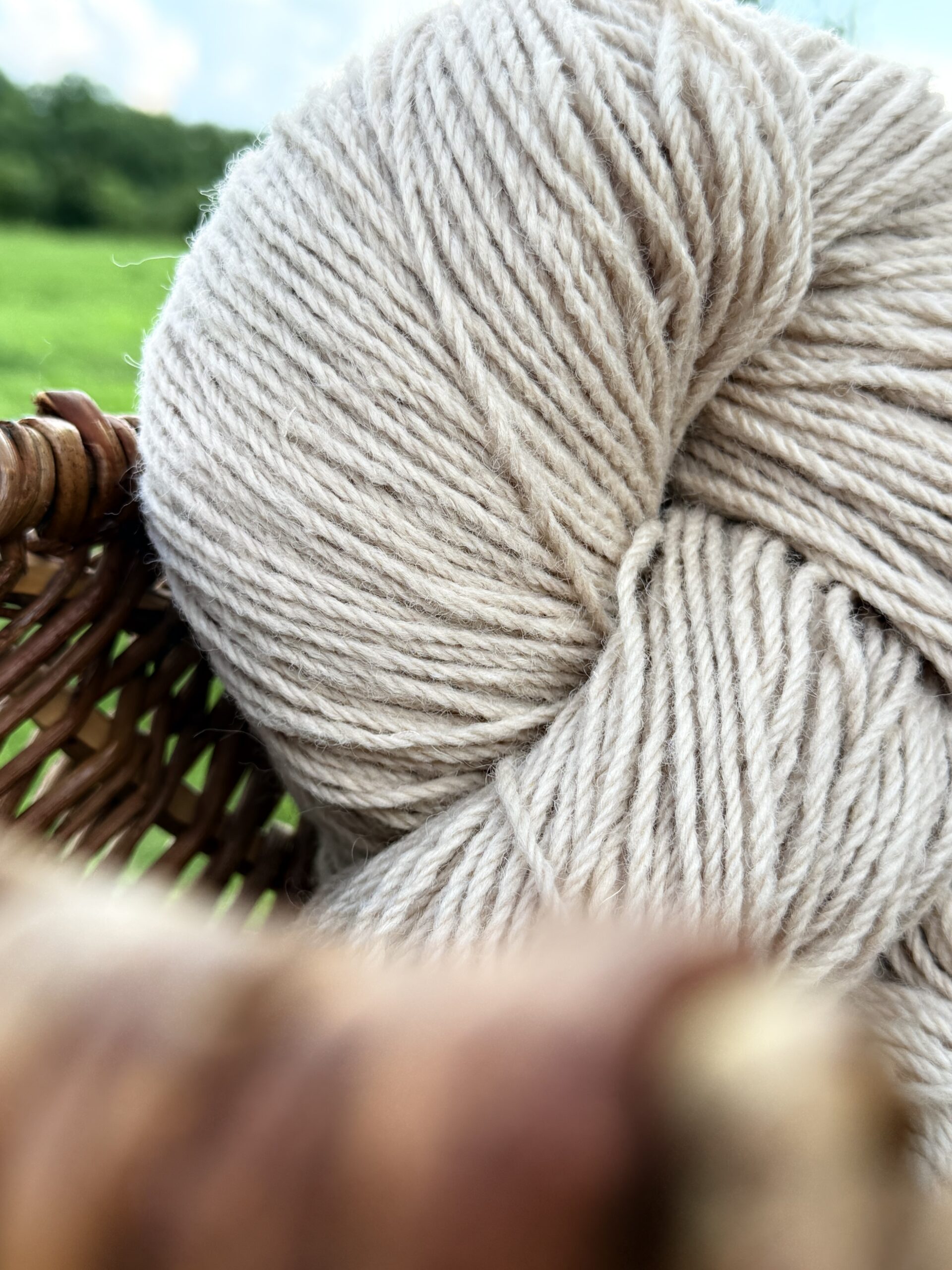 Uuden-Seelannin lampaanvillalanka 1 kg – LIGHT BROWN, WoolLando