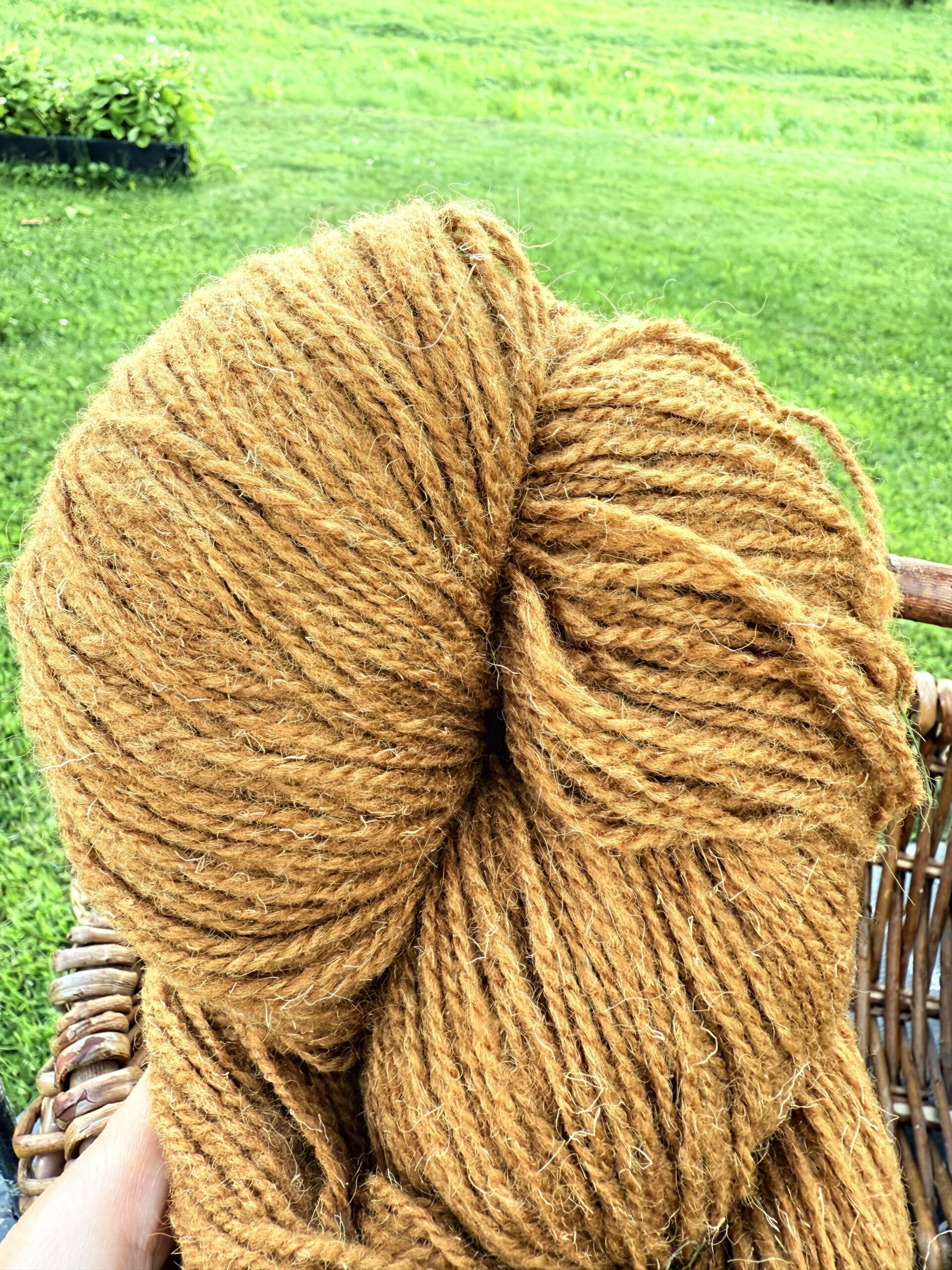 Lampaanvillalanka 1 kg – MUSTARD BROWN, WoolLando