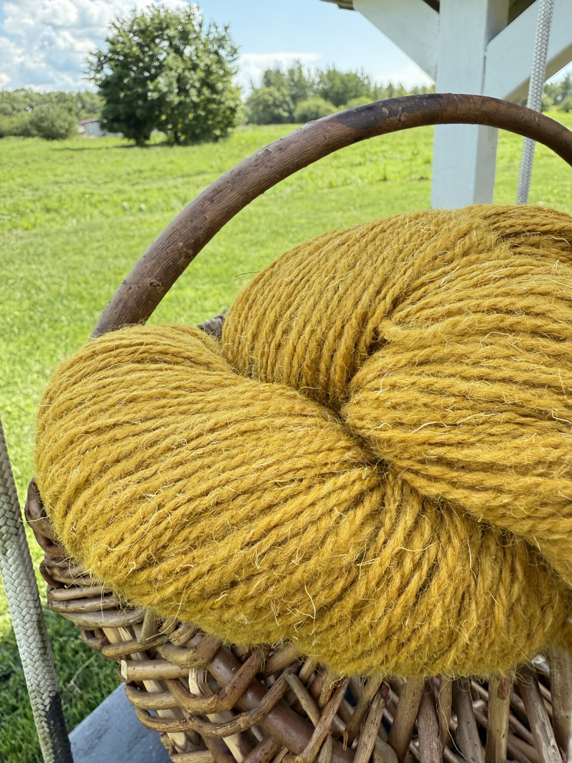 Lampaanvillalanka 1 kg – MUSTARD YELLOW, WoolLando